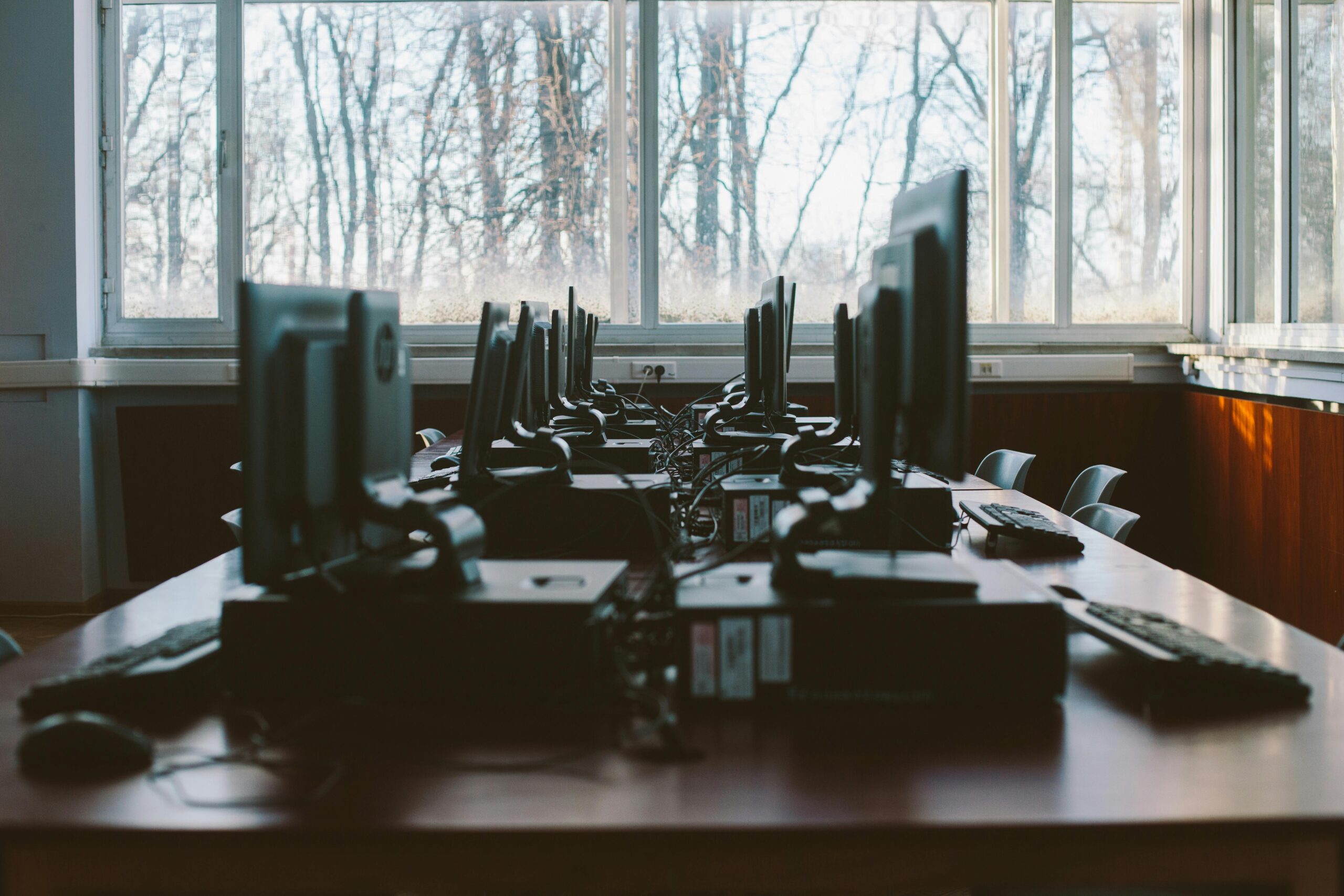 Two rows of desktop computers in front of window with bare trees in the background